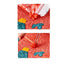 Kit DIY Pintura En Relieve Con Pulpa De Papel De Colores