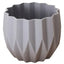 Set 3 Maceteros Decorativo De Plastico Estilo Moderno Cactus - Baúl de Ayün